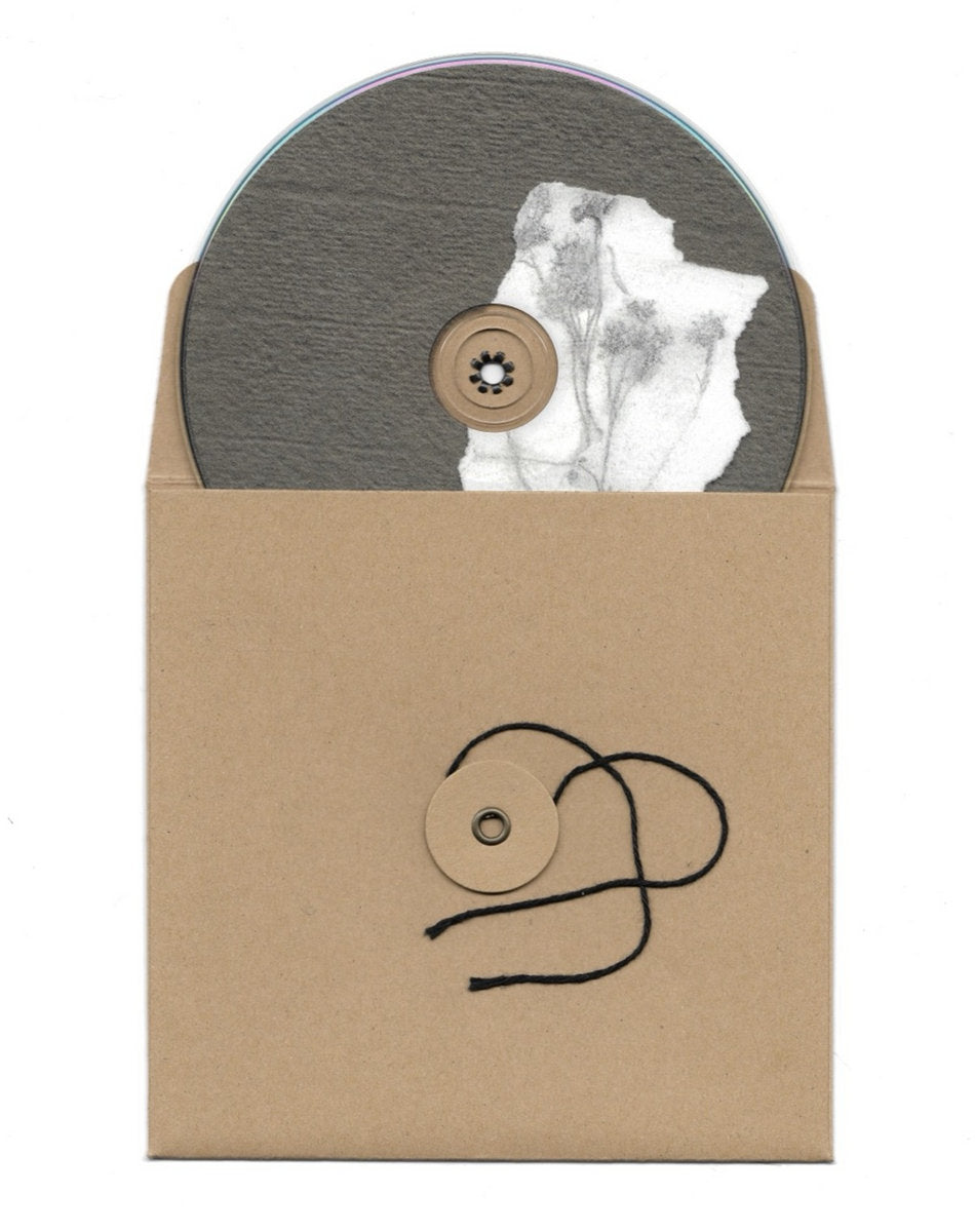 music lovers anonymous - I painted my fence in the rain so I could do it all over again (CD disc)