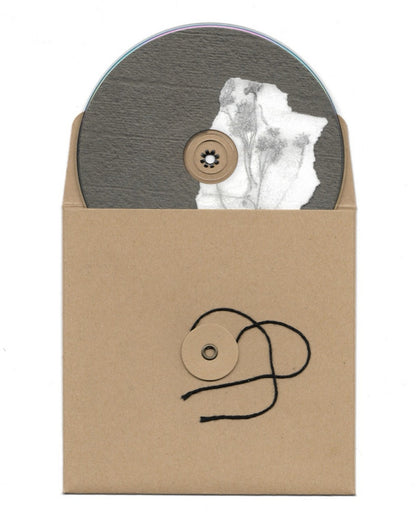 music lovers anonymous - I painted my fence in the rain so I could do it all over again (CD disc)
