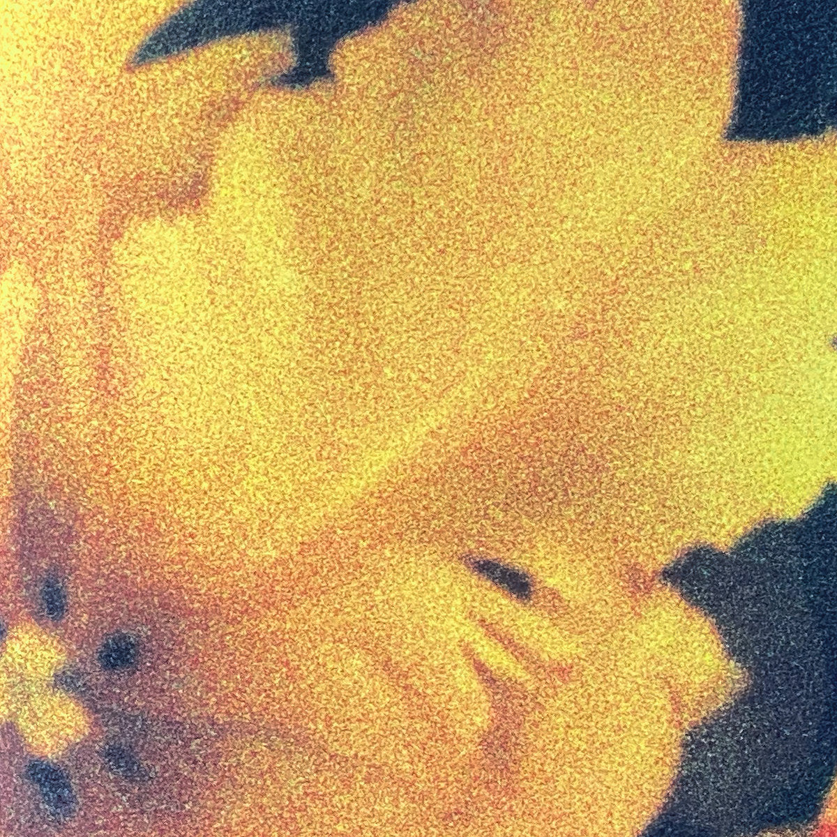 nthng - Last Light of the Sun front cover. topo2, Netherlands, vinyl 2LP, 2026. Available at Seasonal Work Records.