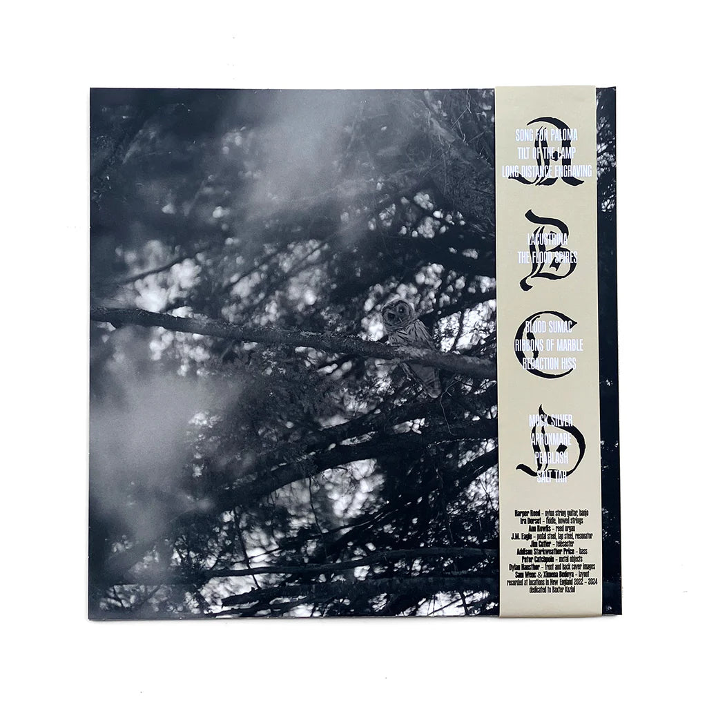 Old Saw - The Wringing Cloth