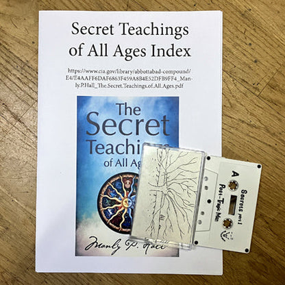 Post-Tragic Man - Secrets